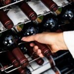 Bolero GrandSommelier 2450 Black Compressor - Imagen 10