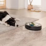 Conga 7690 Immortal Max Home - Imagen 9