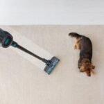 Conga RockStar 1300 X-Treme - Imagen 9