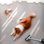 Conga Rockstar 1600 Advance - Imagen 8