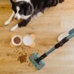 Conga Rockstar 3500 Storm ErgoTwice Animal - Imagen 5