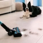 Conga Rockstar 3500 Storm Pet Flex - Imagen 6