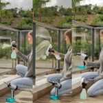 Conga Rockstar 3700 Glass - Imagen 6