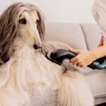 Conga Rockstar 5500 Hurricane ErgoTwice Animal - Imagen 8