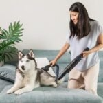 Conga Rockstar Micro+ Animal - Imagen 6