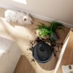 Conga Y80 - Imagen 8